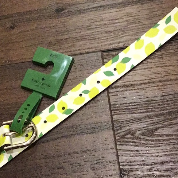 Kate Spade New York NWT genuine leather Lemon Belt Bag size L/XL. - Picture 2 of 10